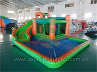 Endless Fun Inflatable Bounce House and Water Slide Combo