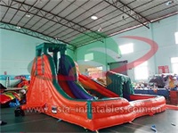 Indoor Inflatable Water Slide With Pool