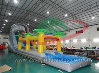 Palm Tree Inflatable Water Slide With Splash Pool