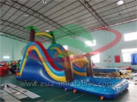 Inflatable Water Slide With Splash Water Pool