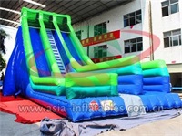 Party Rental Inflatable Dual Lane Slide