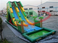 Inflatable Palm Tree Water Slide With Splash Pool Combo