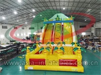 Inflatable Dry Palm Tree Slide