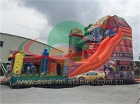 Giant Inflatable House Slide
