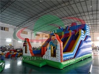 Double Lane Inflatable Slide