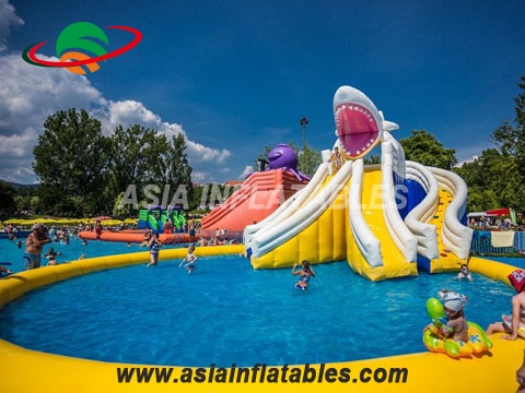 Commercial Grade Inflatable Water Park with Shark Water Slide